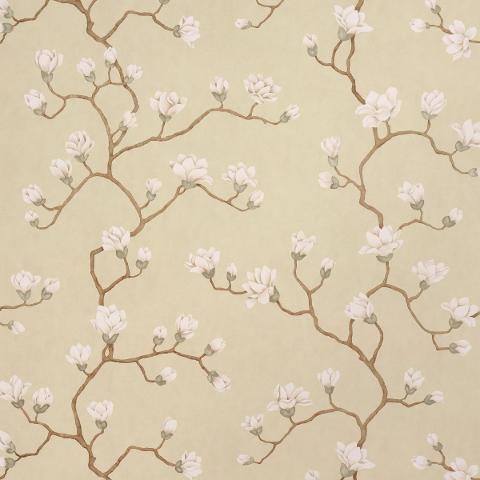 Magnolia Tree