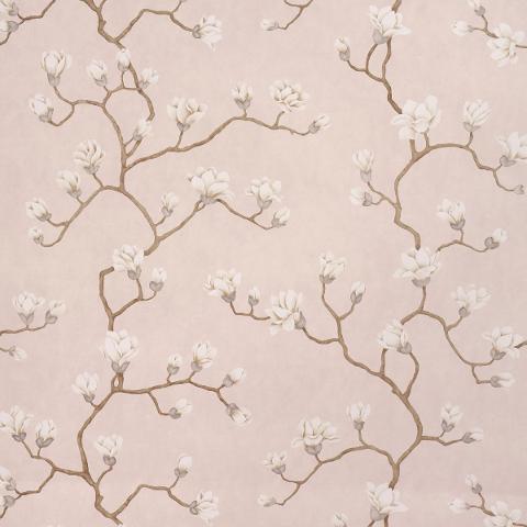Magnolia Tree