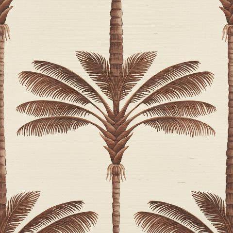 A Palm Is A Palm Sisal