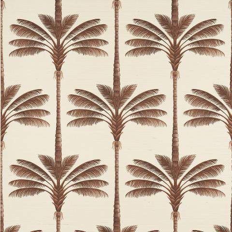 A Palm Is A Palm Sisal