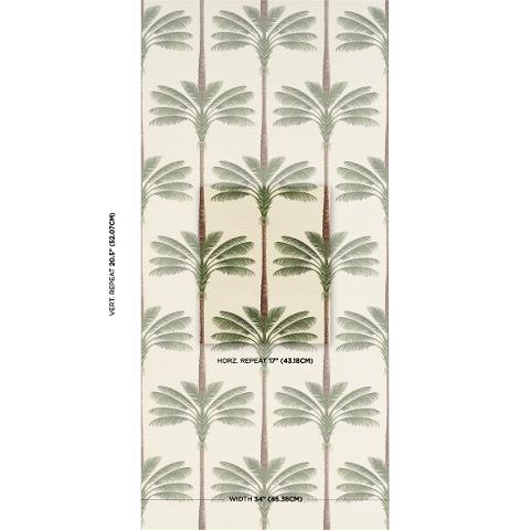 A Palm Is A Palm Sisal