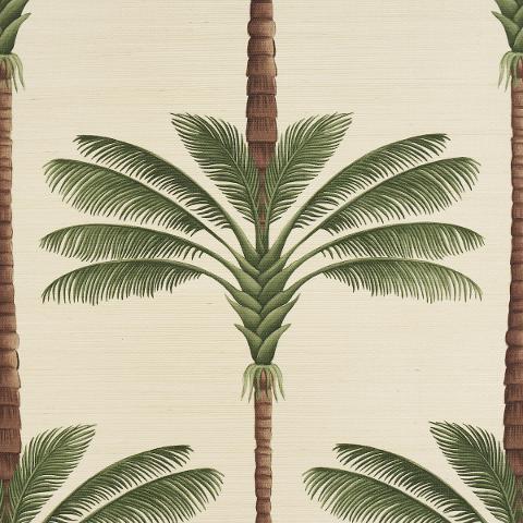 A Palm Is A Palm Sisal