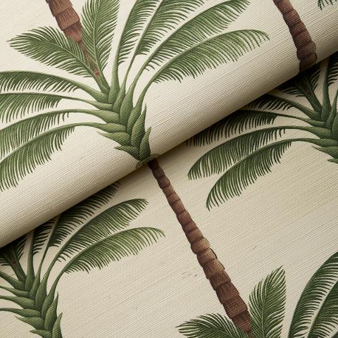 A Palm Is A Palm Sisal