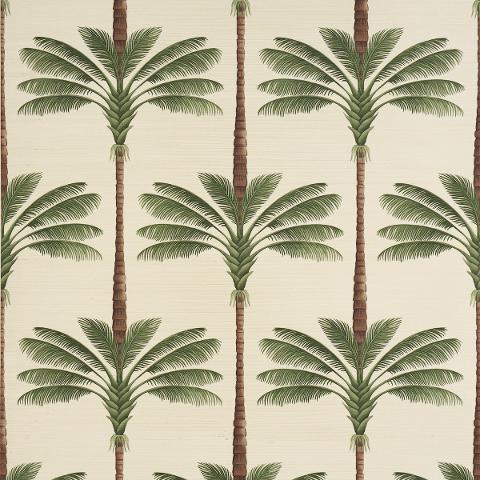 A Palm Is A Palm Sisal