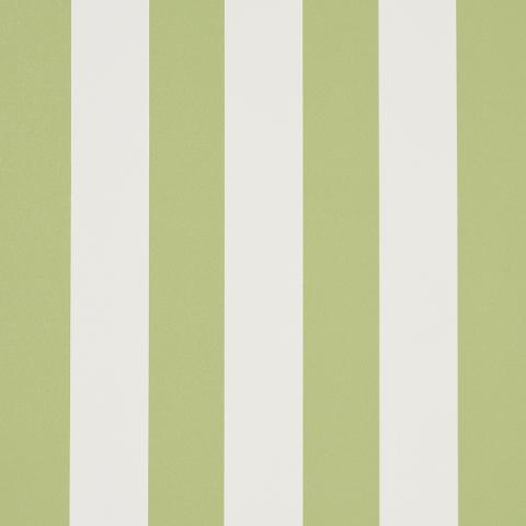 Emma Stripe