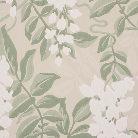 Lucia Wisteria