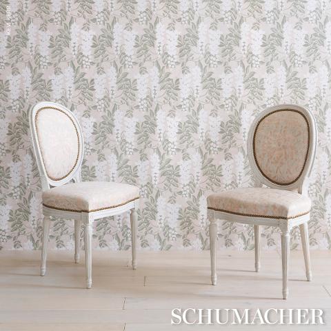 Lucia Wisteria