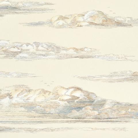 Mr. Darcy's Clouds