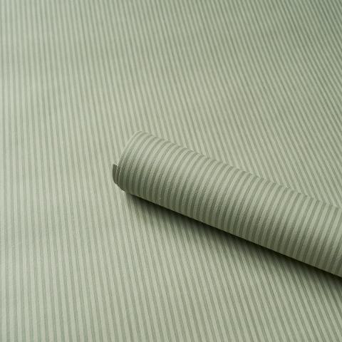 Edwin Stripe Narrow