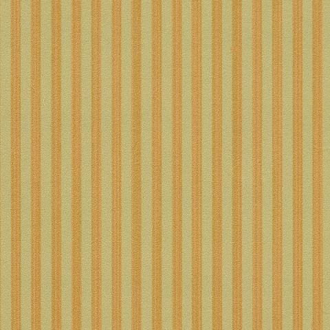 Edwin Stripe Narrow