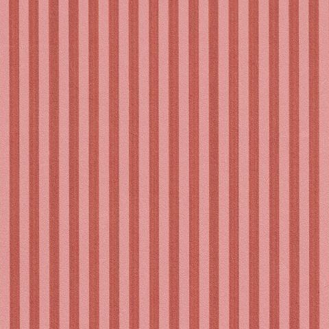 Edwin Stripe Narrow
