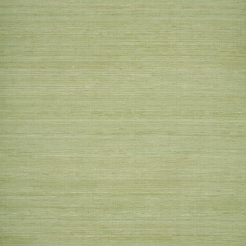 SHADED SILK