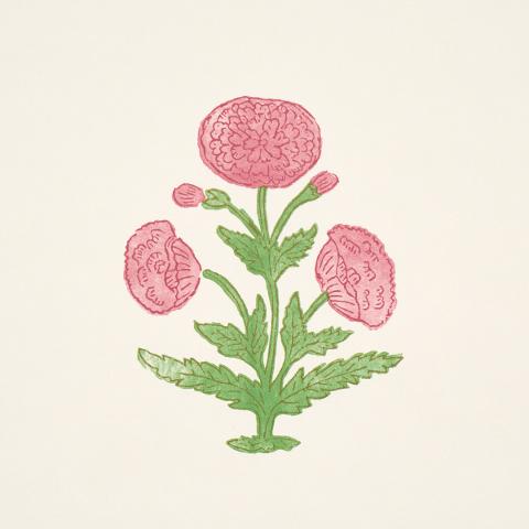 Poppy Print