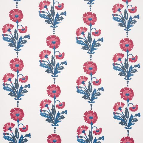 Dianthus Print