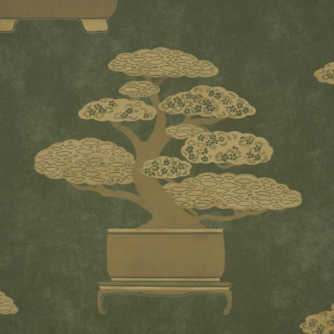 Bonsai Tree