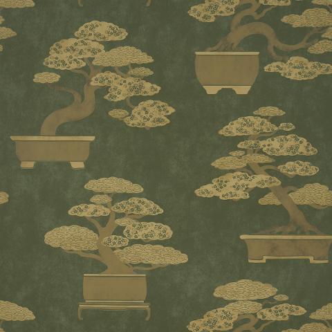 BONSAI TREE
