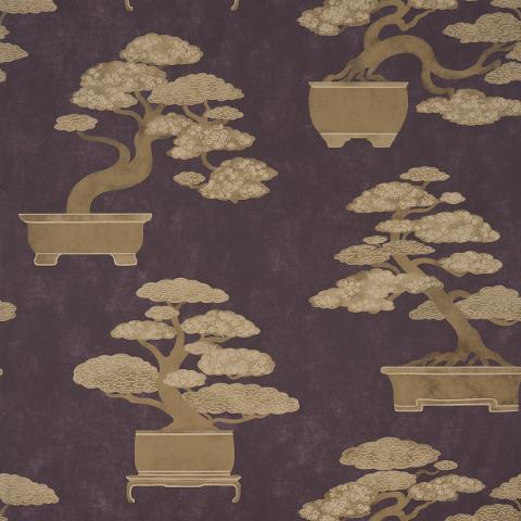 BONSAI TREE