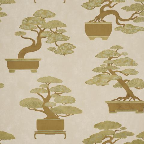BONSAI TREE