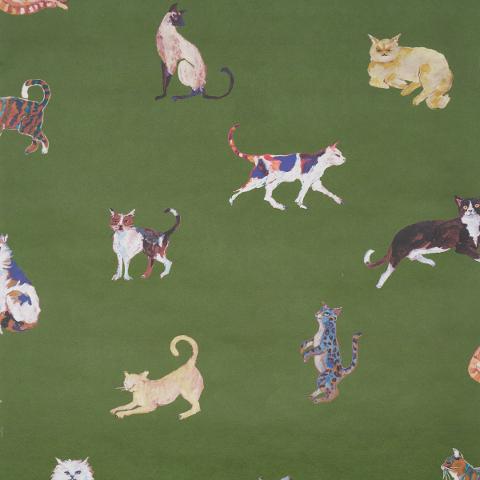 Cats