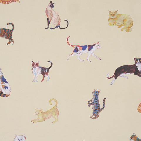 Cats