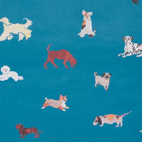 Dogs