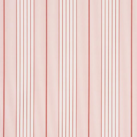 Audrey Stripe