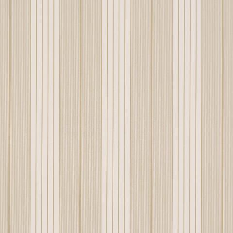Audrey Stripe