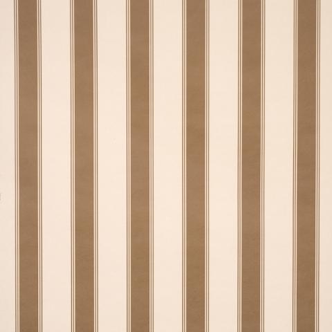 Rafe Stripe