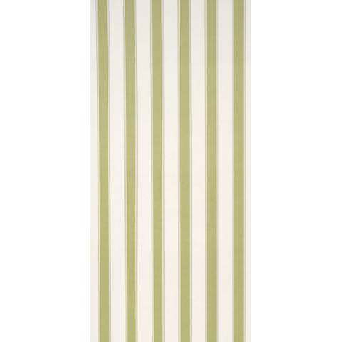 Rafe Stripe
