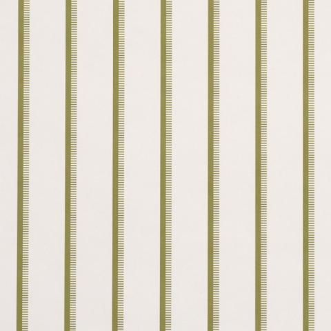 Tyla Stripe