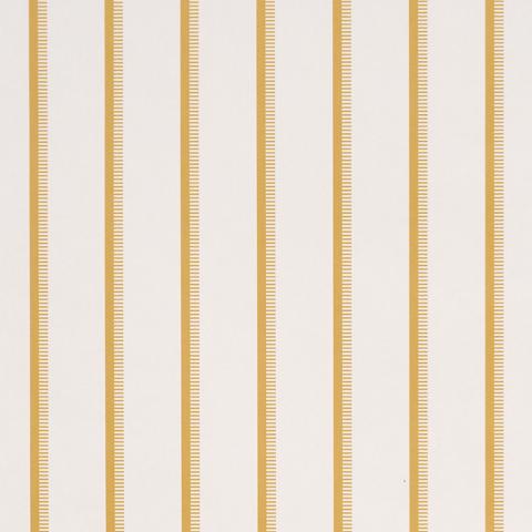 Tyla Stripe