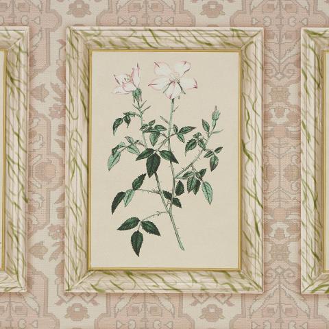 Garden's Trust