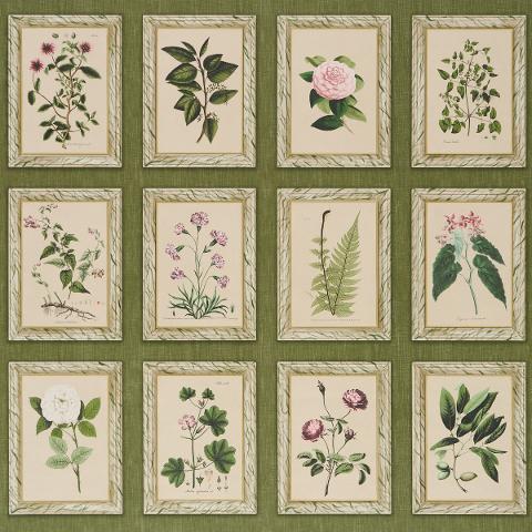 Garden's Trust