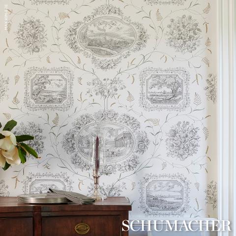 Century Scenic Toile
