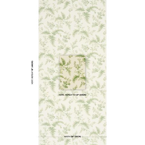 Maidenhair