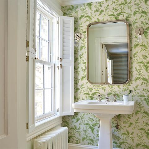 Maidenhair