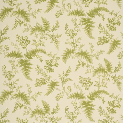 MAIDENHAIR
