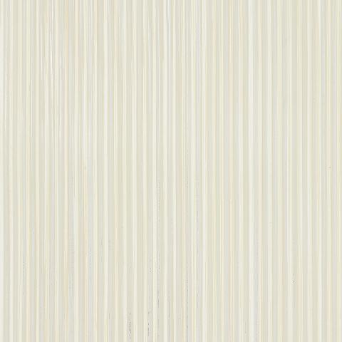 RIMINI RIB