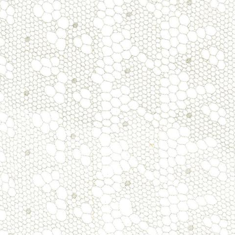 Tracery Lace Sheer
