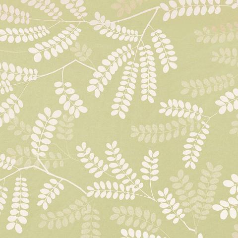 Locust Leaves
