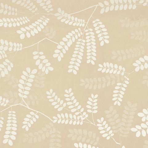 LOCUST LEAVES