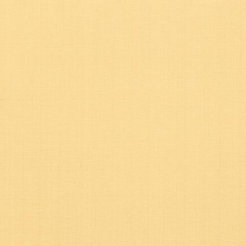 AVERY COTTON PLAIN