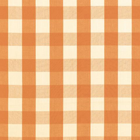 Camden Cotton Check