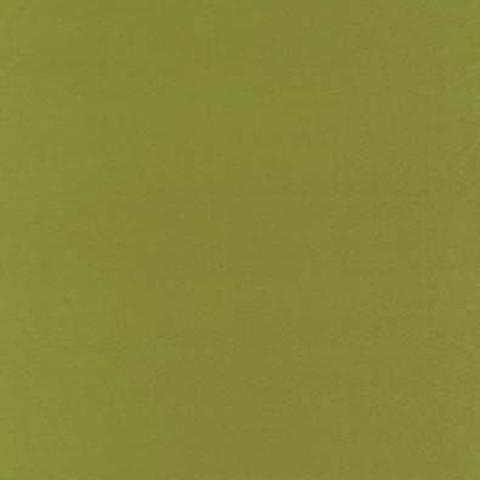 Botticelli Silk Taffeta