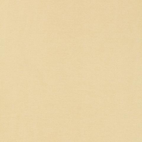Tiepolo Shantung Weave
