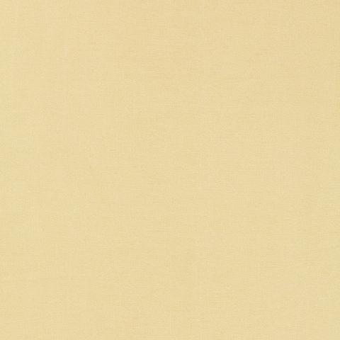 Tiepolo Shantung Weave