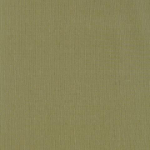 MASACCIO TAFFETA