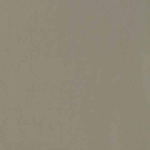 GIORDANO TAFFETA