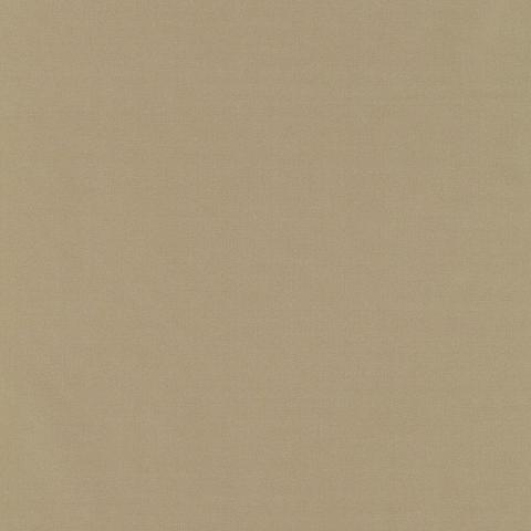 GIORDANO TAFFETA