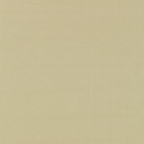 GIORDANO TAFFETA